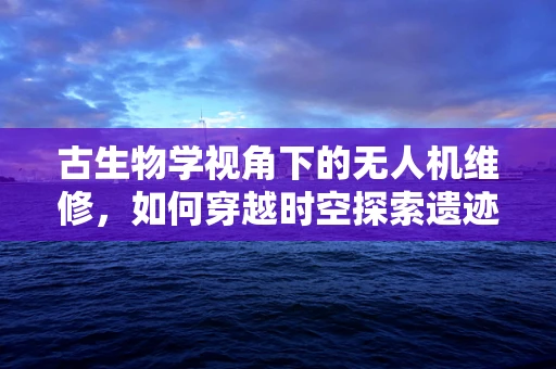 古生物学视角下的无人机维修，如何穿越时空探索遗迹？