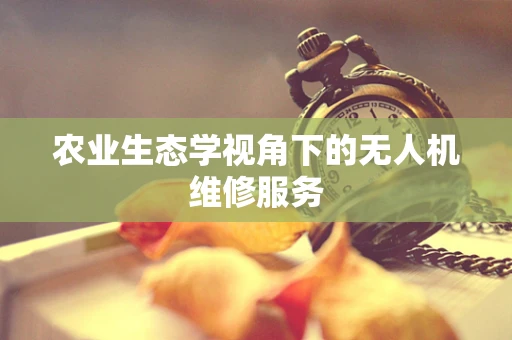 农业生态学视角下的无人机维修服务