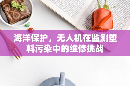 海洋保护，无人机在监测塑料污染中的维修挑战