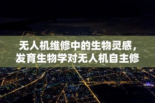 无人机维修中的生物灵感，发育生物学对无人机自主修复的启示