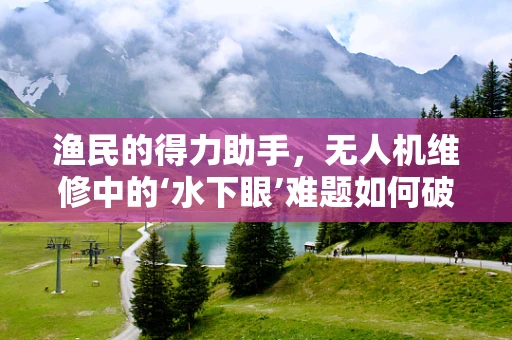 渔民的得力助手，无人机维修中的‘水下眼’难题如何破解？