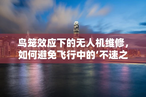 鸟笼效应下的无人机维修，如何避免飞行中的‘不速之客’？