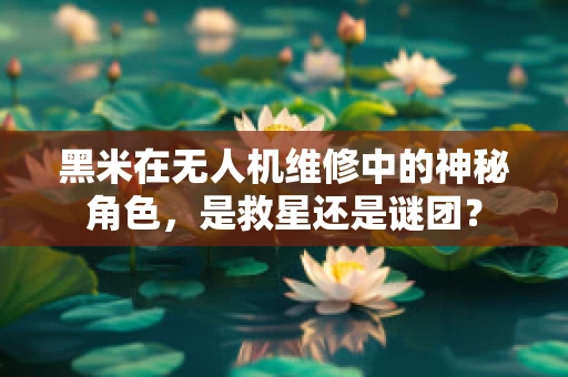黑米在无人机维修中的神秘角色，是救星还是谜团？