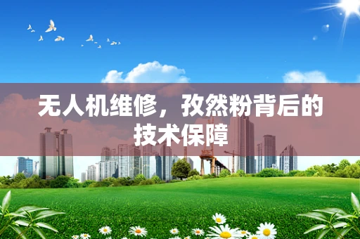无人机维修，孜然粉背后的技术保障