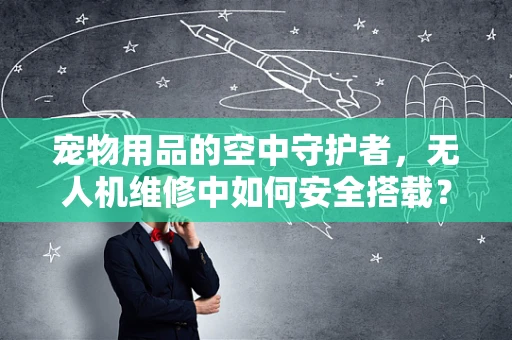 宠物用品的空中守护者，无人机维修中如何安全搭载？