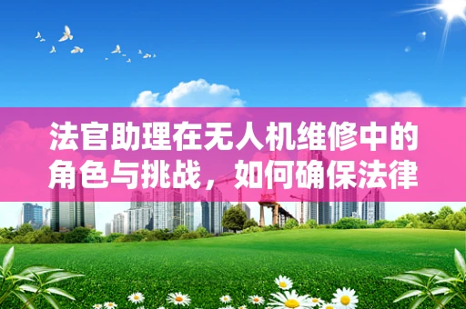法官助理在无人机维修中的角色与挑战，如何确保法律与技术无缝对接？