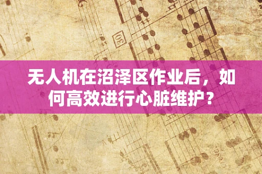无人机在沼泽区作业后，如何高效进行心脏维护？