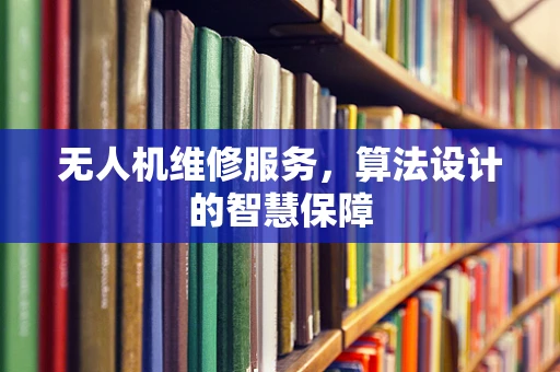 无人机维修服务，算法设计的智慧保障