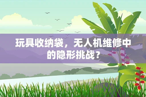 玩具收纳袋，无人机维修中的隐形挑战？