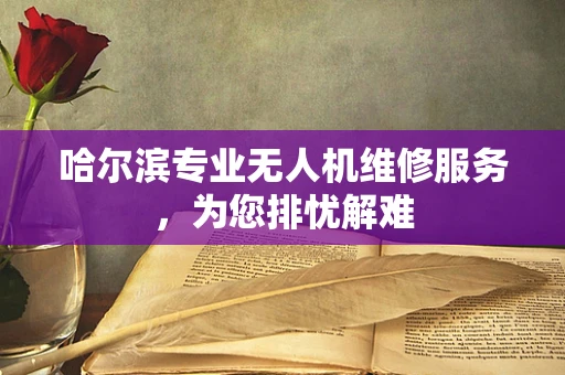 哈尔滨专业无人机维修服务，为您排忧解难