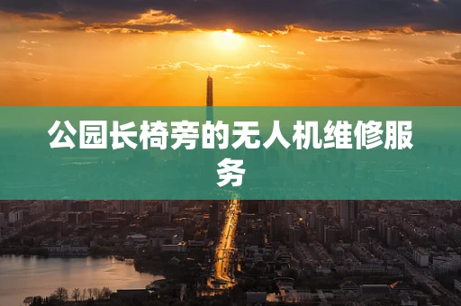 公园长椅旁的无人机维修服务