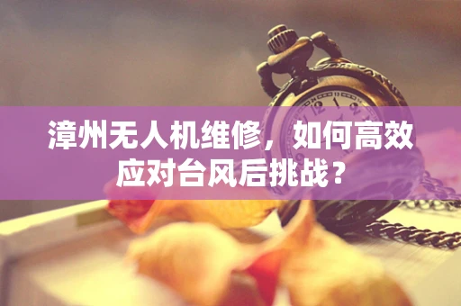 漳州无人机维修，如何高效应对台风后挑战？