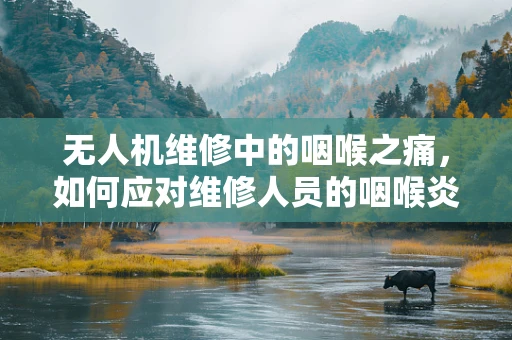 无人机维修中的咽喉之痛，如何应对维修人员的咽喉炎？