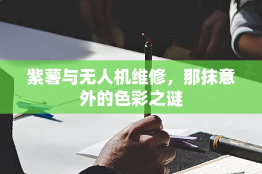 紫薯与无人机维修，那抹意外的色彩之谜
