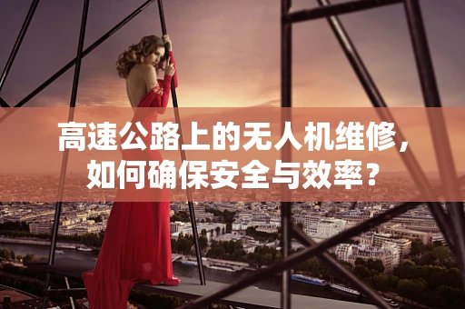 高速公路上的无人机维修，如何确保安全与效率？