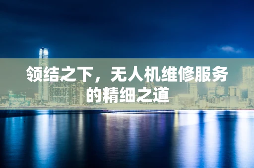 领结之下，无人机维修服务的精细之道