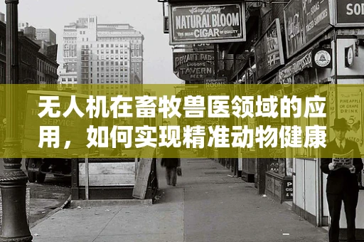 无人机在畜牧兽医领域的应用，如何实现精准动物健康监测与高效管理？