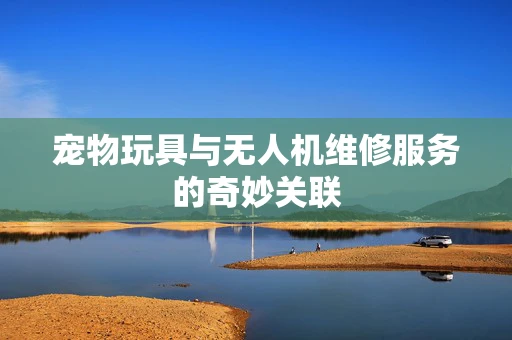 宠物玩具与无人机维修服务的奇妙关联