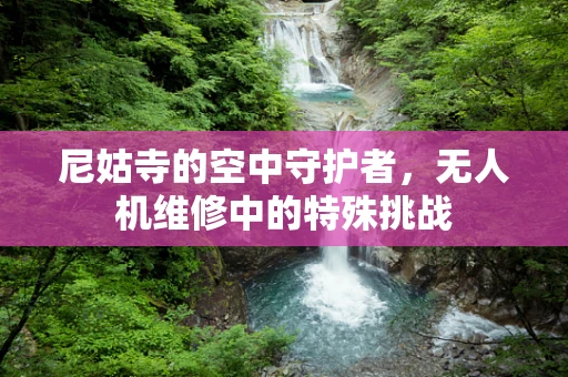 尼姑寺的空中守护者，无人机维修中的特殊挑战