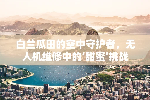 白兰瓜田的空中守护者，无人机维修中的‘甜蜜’挑战