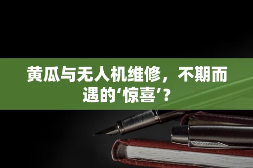 黄瓜与无人机维修，不期而遇的‘惊喜’？