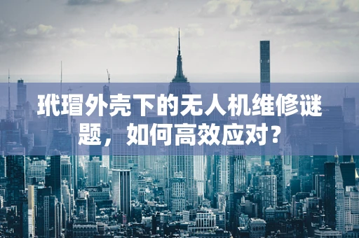 玳瑁外壳下的无人机维修谜题，如何高效应对？