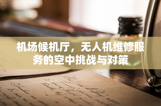机场候机厅，无人机维修服务的空中挑战与对策