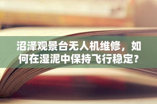 沼泽观景台无人机维修，如何在湿泥中保持飞行稳定？