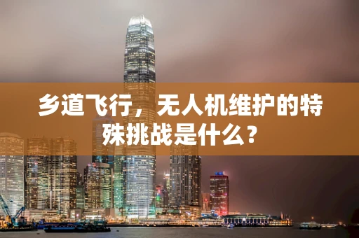 乡道飞行，无人机维护的特殊挑战是什么？