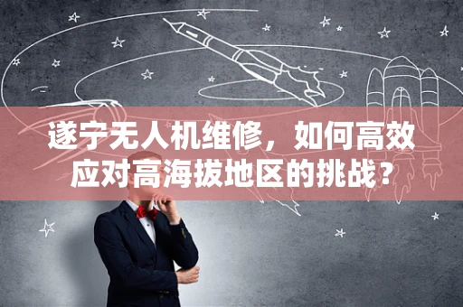 遂宁无人机维修，如何高效应对高海拔地区的挑战？