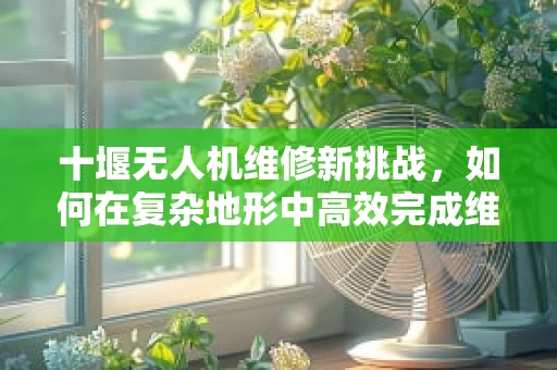 十堰无人机维修新挑战，如何在复杂地形中高效完成维修任务？