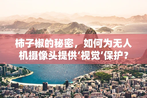 柿子椒的秘密，如何为无人机摄像头提供‘视觉’保护？