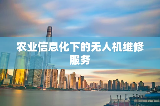 农业信息化下的无人机维修服务