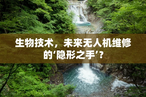 生物技术，未来无人机维修的‘隐形之手’？