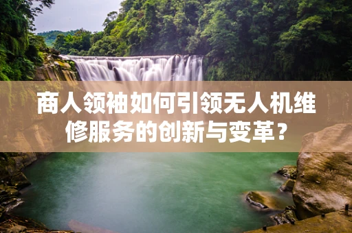 商人领袖如何引领无人机维修服务的创新与变革？