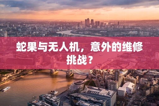 蛇果与无人机，意外的维修挑战？