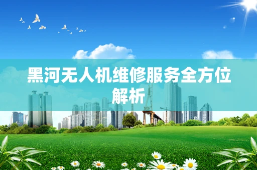 黑河无人机维修服务全方位解析