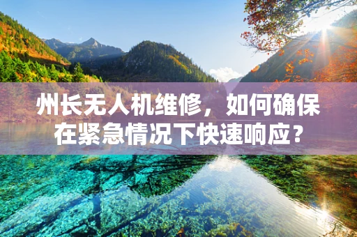 州长无人机维修，如何确保在紧急情况下快速响应？