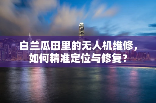 白兰瓜田里的无人机维修，如何精准定位与修复？