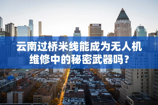 云南过桥米线能成为无人机维修中的秘密武器吗？