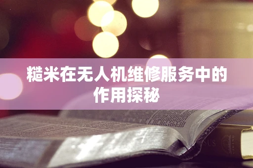 糙米在无人机维修服务中的作用探秘