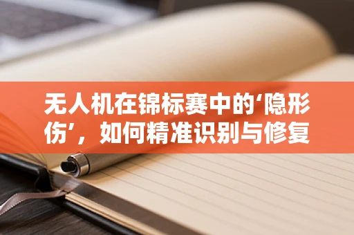 无人机在锦标赛中的‘隐形伤’，如何精准识别与修复？