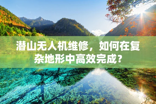 潜山无人机维修，如何在复杂地形中高效完成？