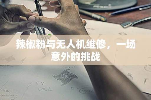 辣椒粉与无人机维修，一场意外的挑战