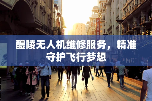 醴陵无人机维修服务，精准守护飞行梦想