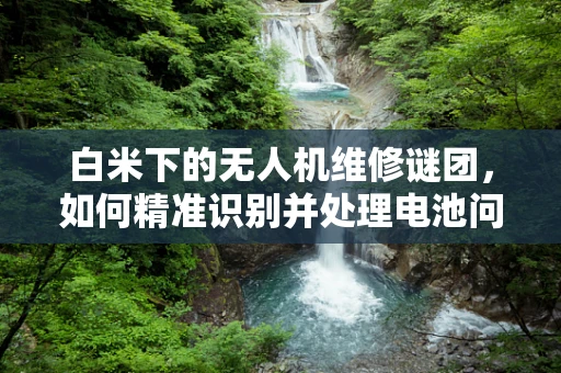 白米下的无人机维修谜团，如何精准识别并处理电池问题？