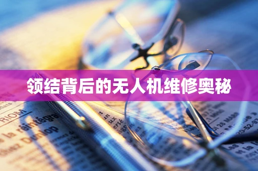 领结背后的无人机维修奥秘