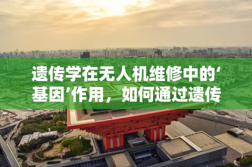 遗传学在无人机维修中的‘基因’作用，如何通过遗传算法优化故障诊断？
