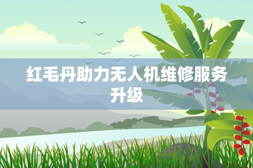 红毛丹助力无人机维修服务升级