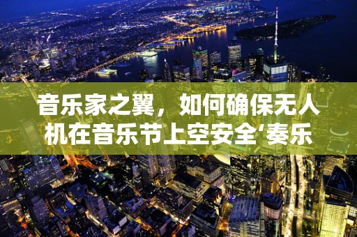 音乐家之翼，如何确保无人机在音乐节上空安全‘奏乐’？